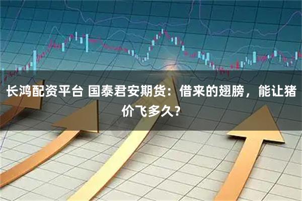 长鸿配资平台 国泰君安期货：借来的翅膀，能让猪价飞多久？